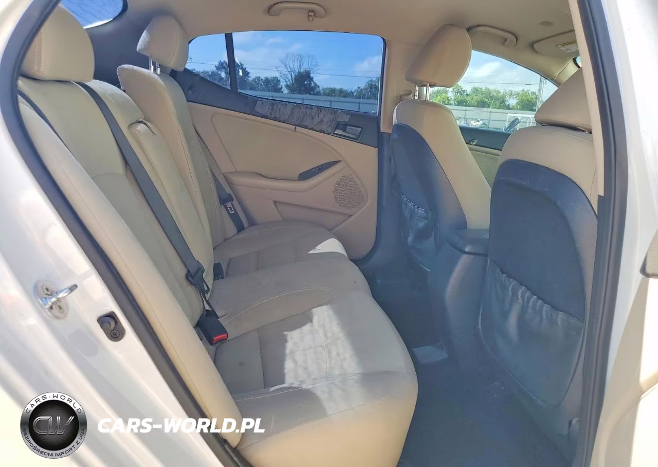 2013 Kia Optima Lx VIN:5XXGM4A73DG249029 - 10