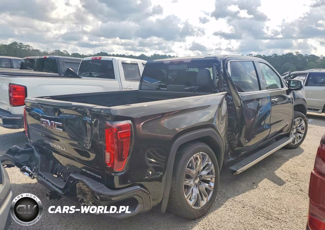 2023 GMC Sierra K1500 Denali VIN:3GTUUGE82PG365914 - 3
