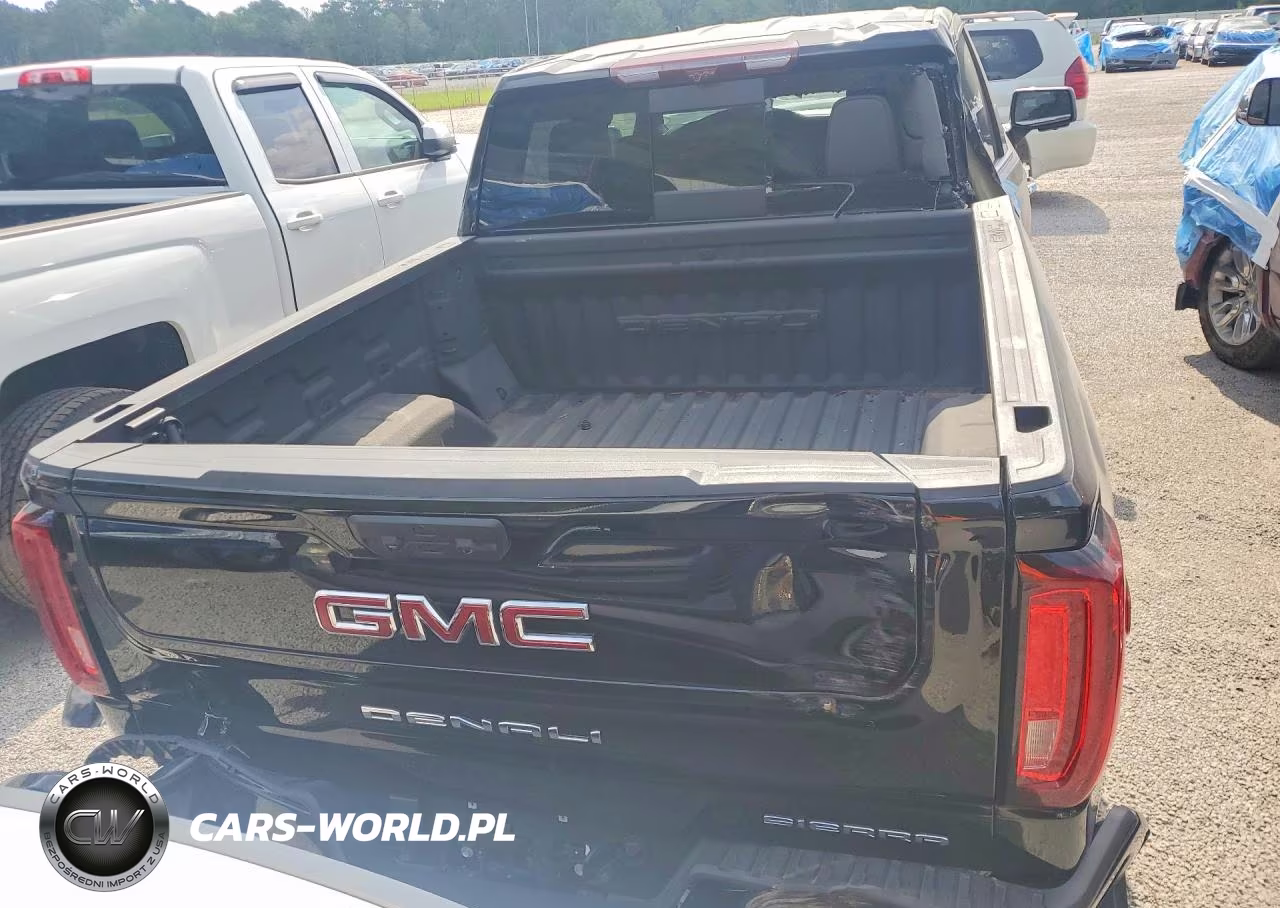 2023 GMC Sierra K1500 Denali VIN:3GTUUGE82PG365914 - 6
