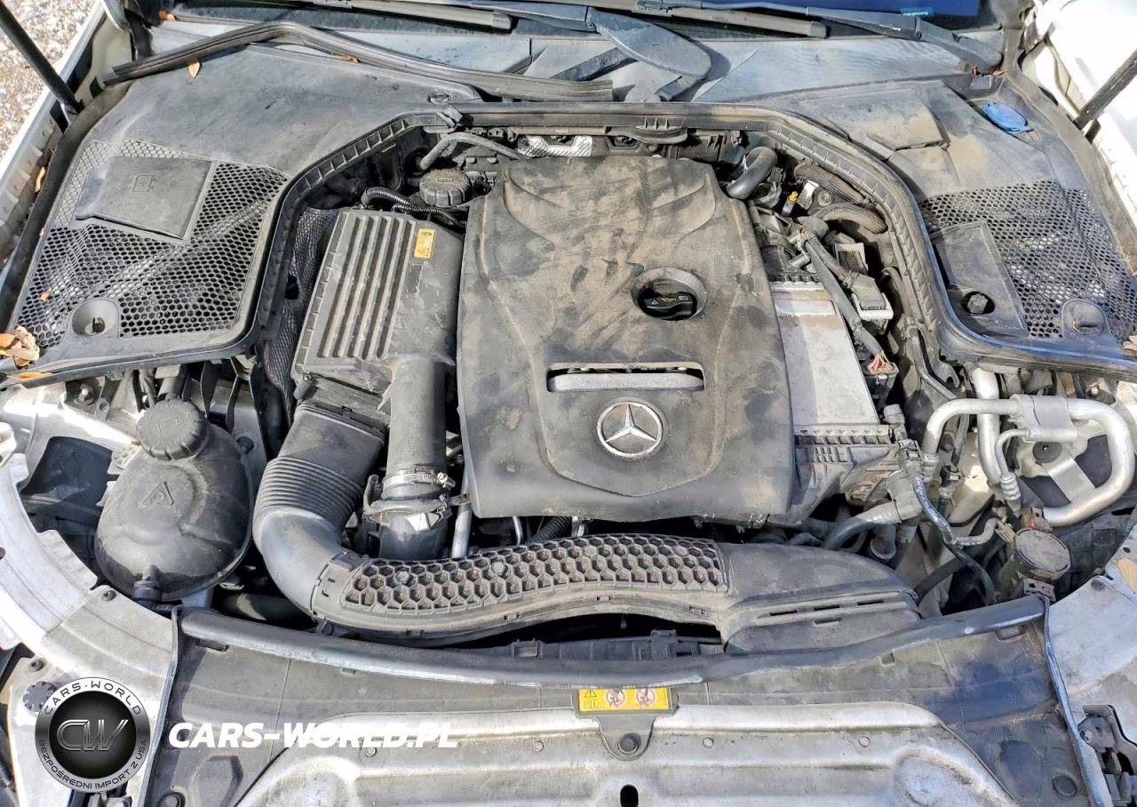 2017 Mercedes-Benz C 300 VIN:55SWF4JB5HU194150 - 11