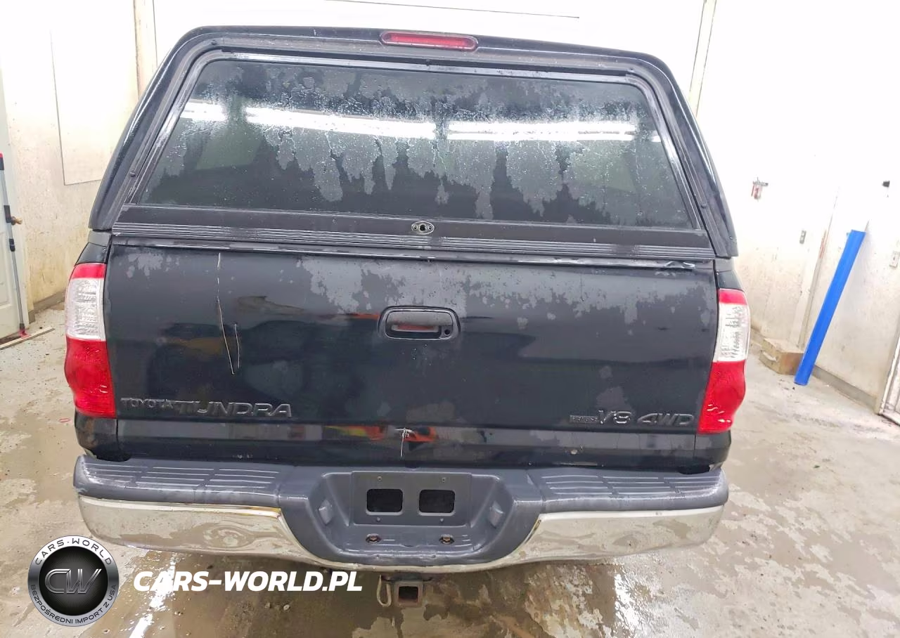 2006 Toyota Tundra Double Cab Sr5 VIN:5TBDT44166S502920 - 6