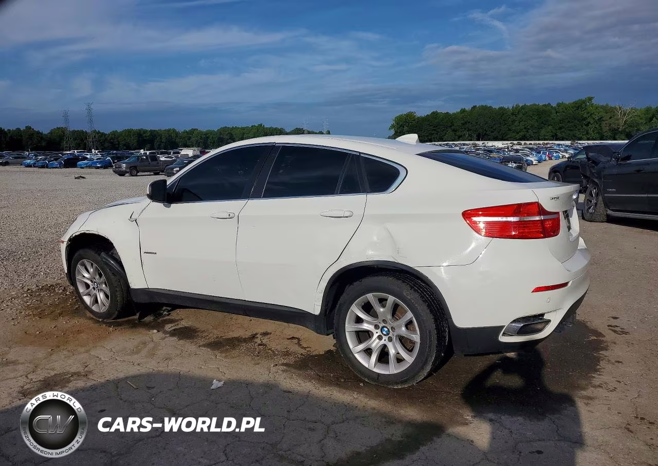 2011 BMW X6 xDrive50I VIN:5UXFG8C55BLZ95273 - 2
