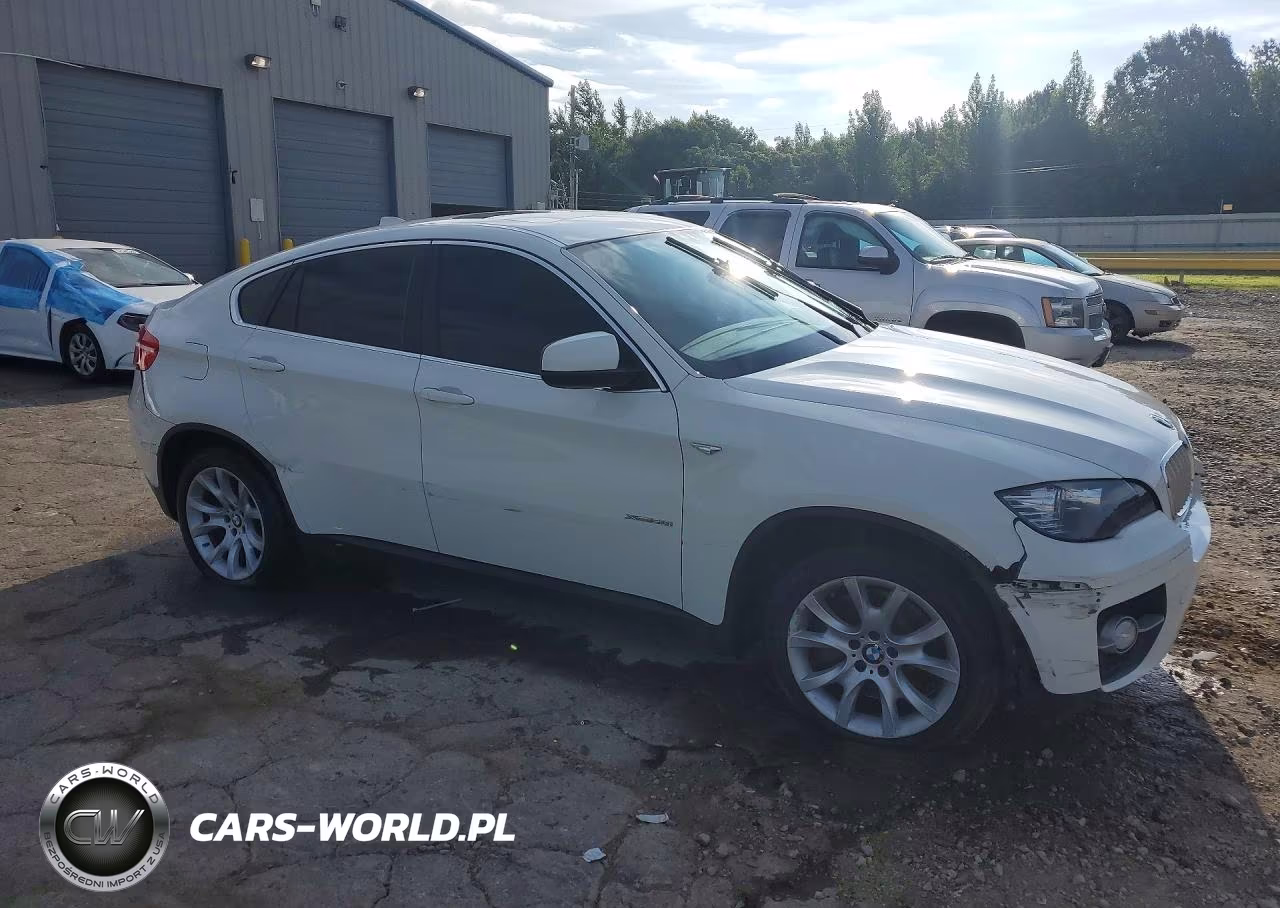 2011 BMW X6 xDrive50I VIN:5UXFG8C55BLZ95273 - 4