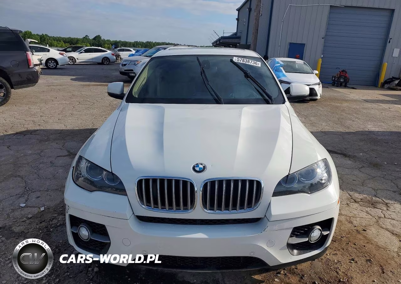 2011 BMW X6 xDrive50I VIN:5UXFG8C55BLZ95273 - 5