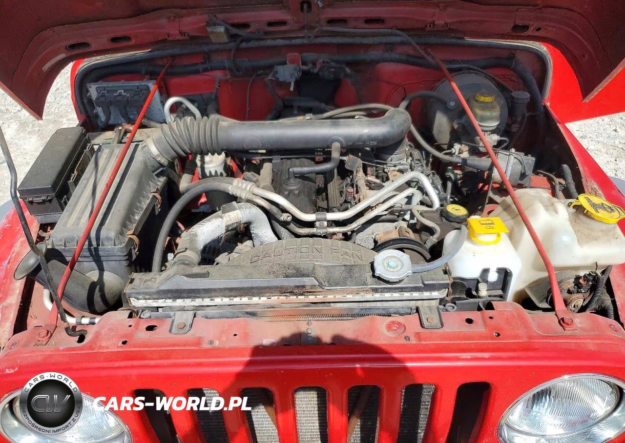 2003 Jeep Wrangler Commando VIN:1J4FA39S43P374601 - 11