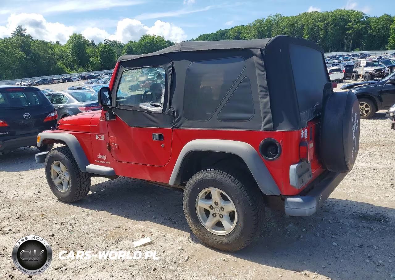 2003 Jeep Wrangler Commando VIN:1J4FA39S43P374601 - 2