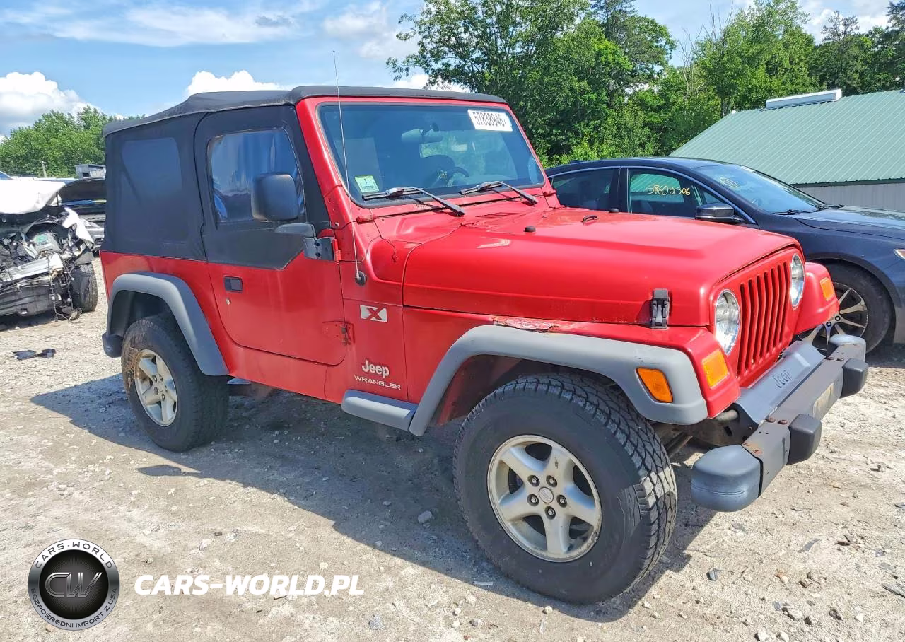 2003 Jeep Wrangler Commando VIN:1J4FA39S43P374601 - 4