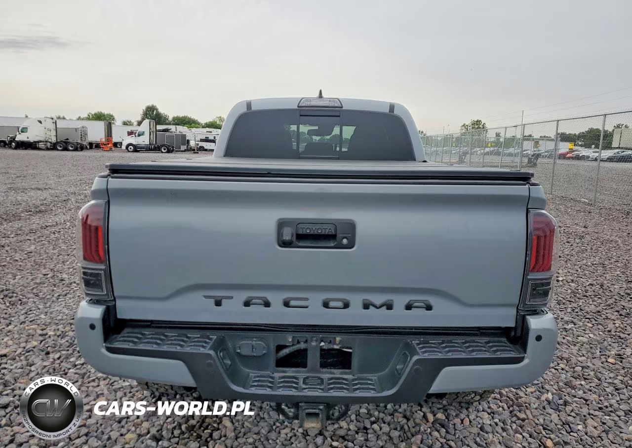 2019 Toyota Tacoma Trd Off-Road VIN:3TMDZ5BN1KM075125 - 6