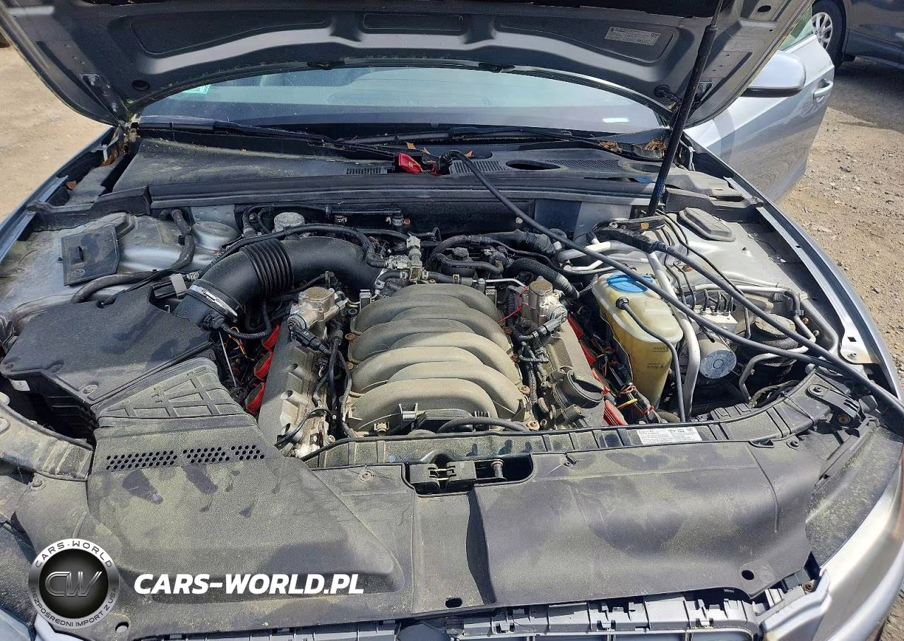 2010 Audi S5 Prestige VIN:WAUVVAFR1AA007700 - 11