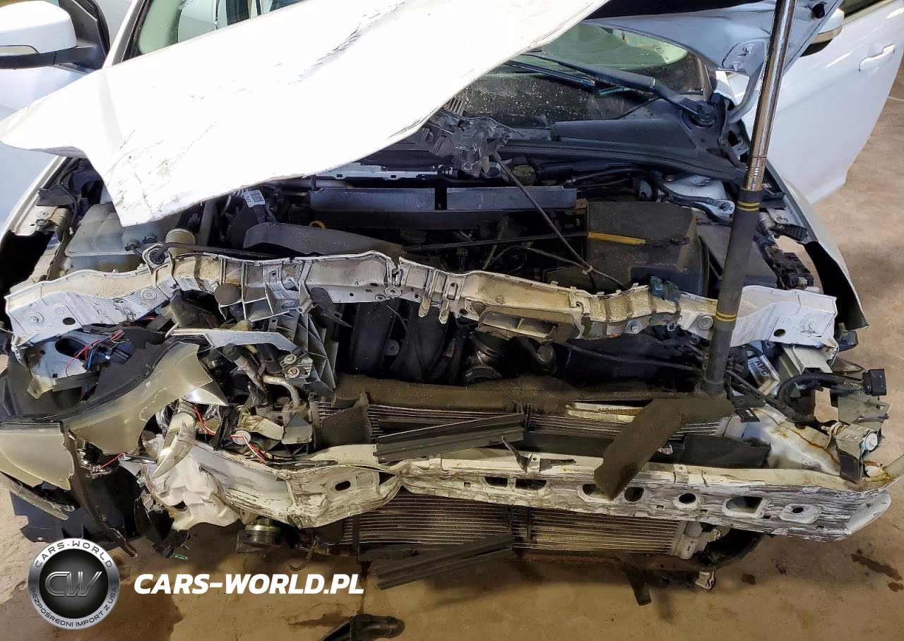 2012 Ford Focus Sel VIN:1FAHP3H2XCL270030 - 11