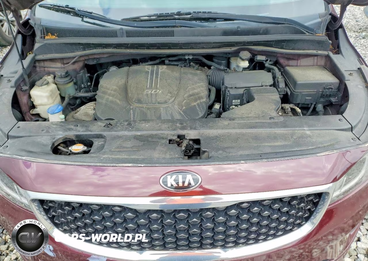 2015 Kia Sedona Lx VIN:KNDMB5C14F6019119 - 12