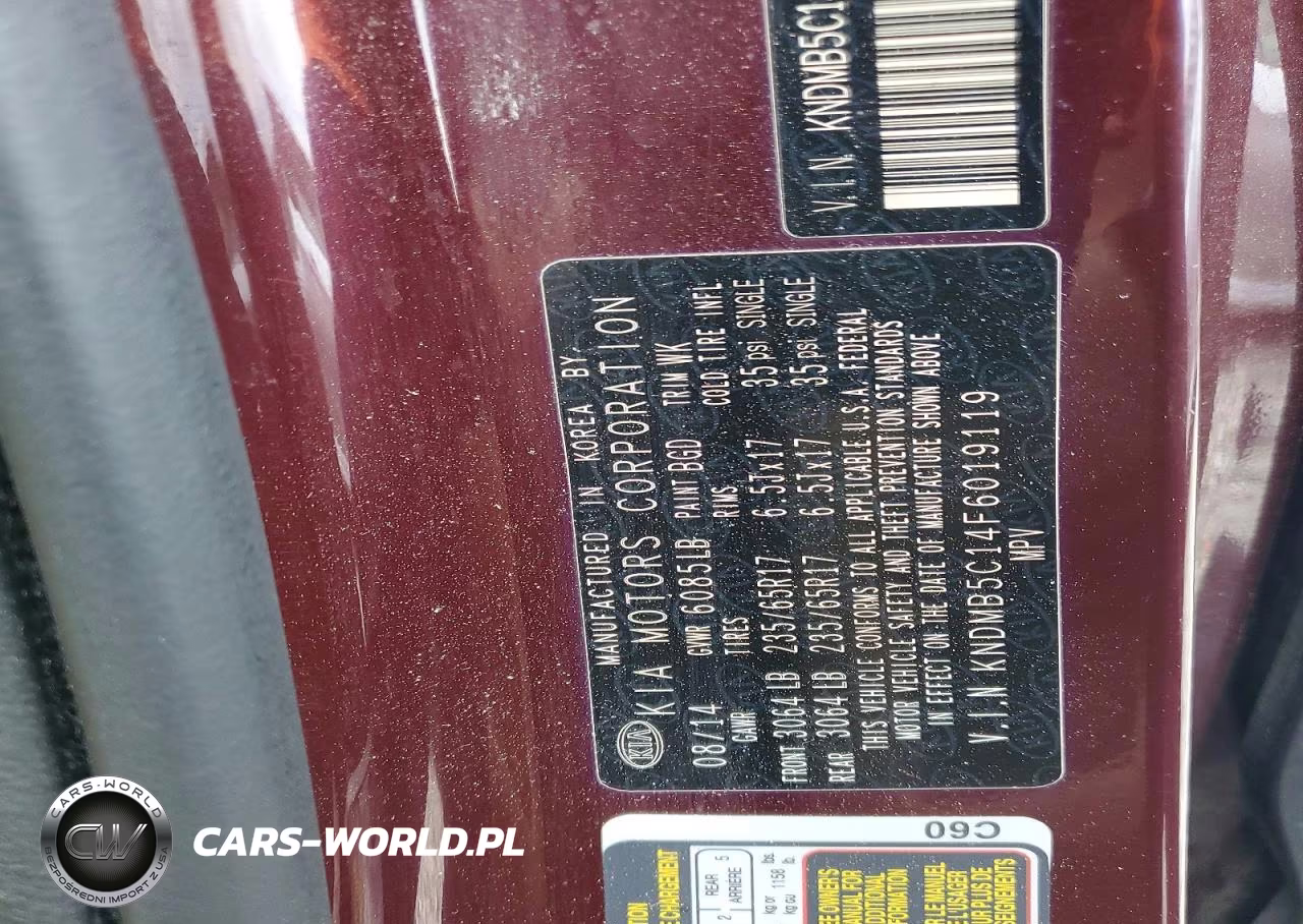 2015 Kia Sedona Lx VIN:KNDMB5C14F6019119 - 13