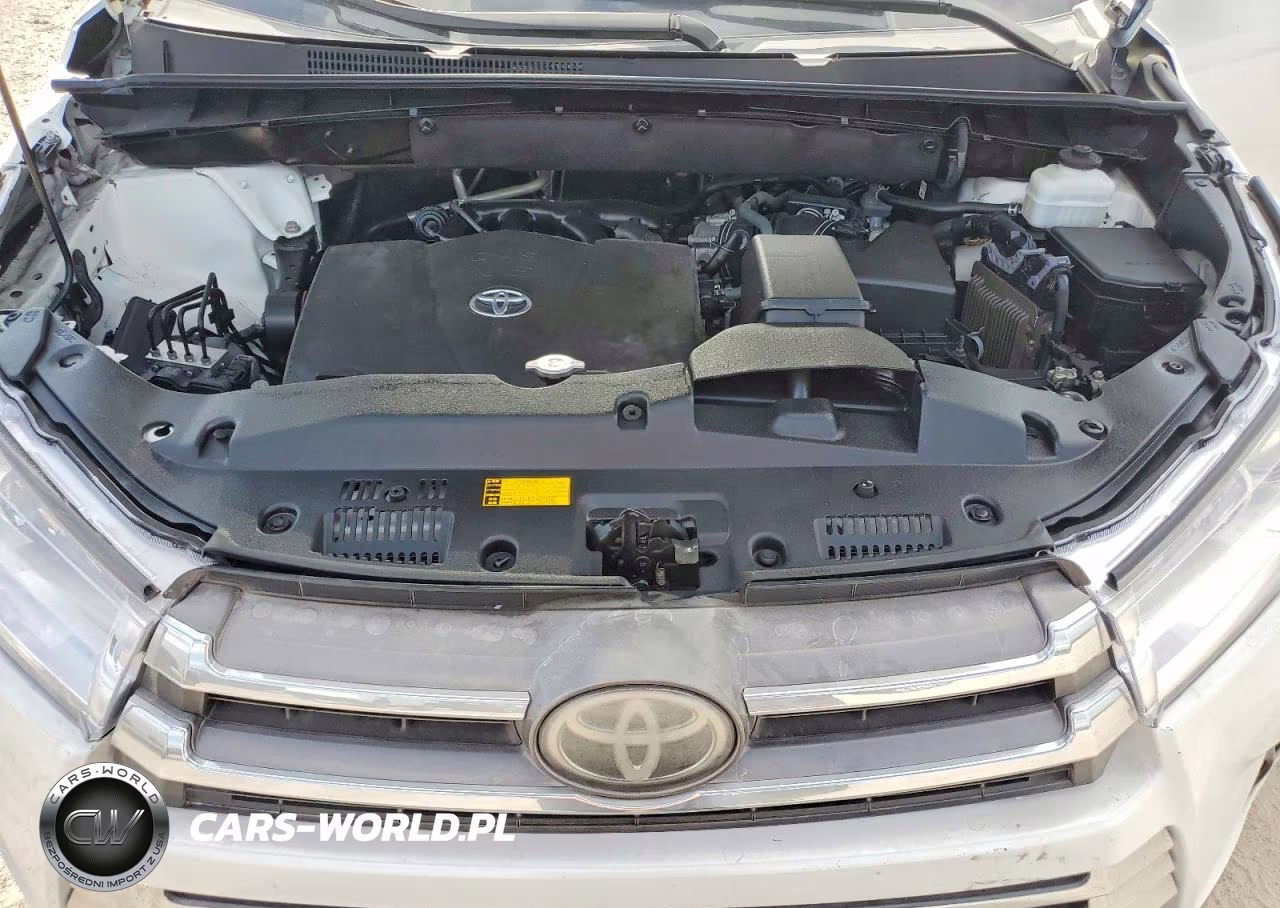 2019 Toyota Highlander Limited VIN:5TDYZRFH3KS324764 - 12