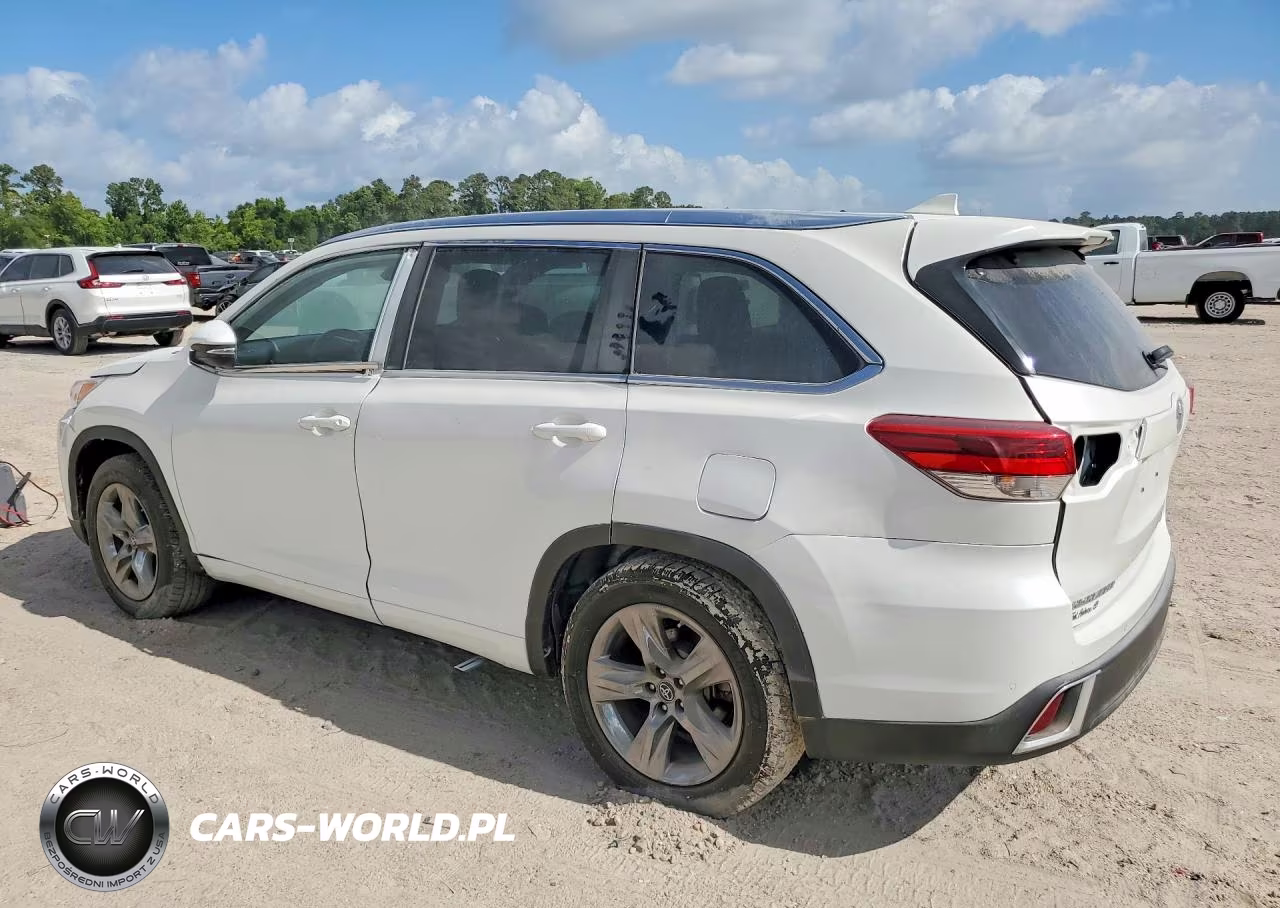 2019 Toyota Highlander Limited VIN:5TDYZRFH3KS324764 - 2
