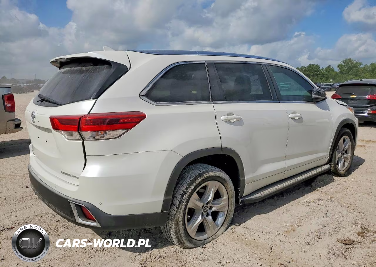 2019 Toyota Highlander Limited VIN:5TDYZRFH3KS324764 - 3