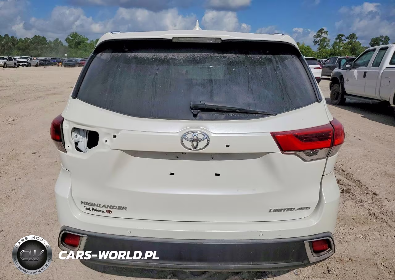 2019 Toyota Highlander Limited VIN:5TDYZRFH3KS324764 - 6