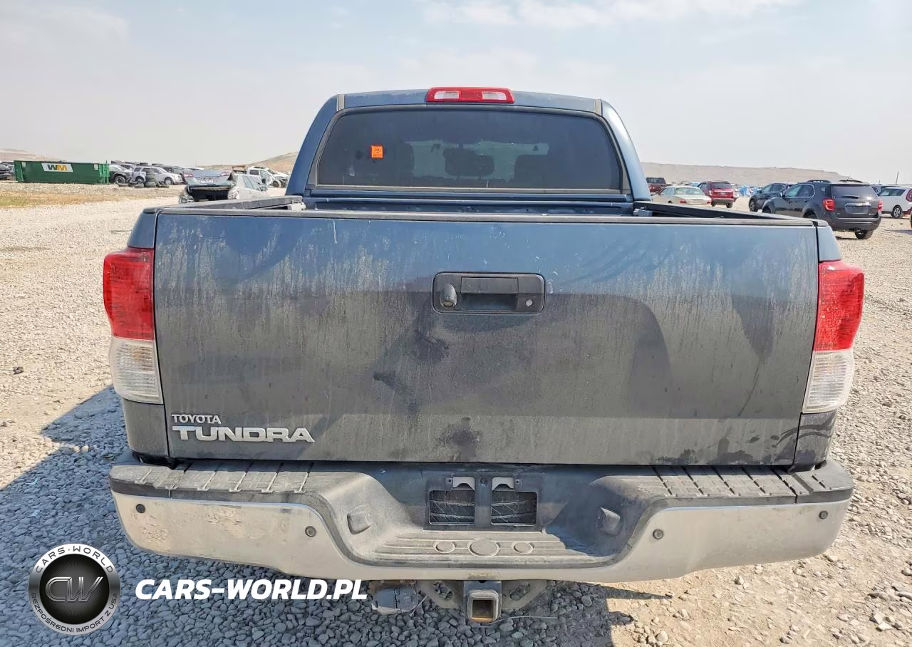 2010 Toyota Tundra Crewmax Limited VIN:5TFFY5F17AX088375 - 6