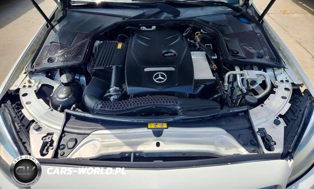 2018 Mercedes-Benz C 300 VIN:55SWF4JB7JU241796 - 11