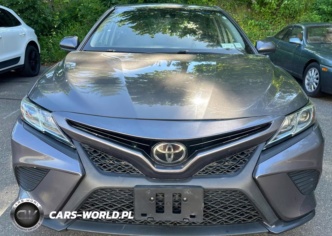 2019 Toyota Camry Se VIN:4T1B11HK8KU169725 - 10