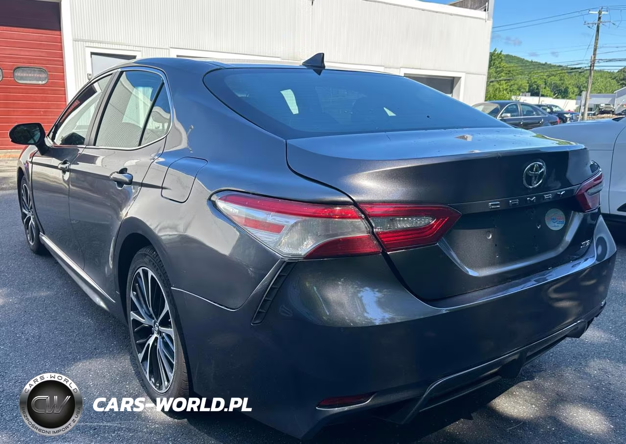 2019 Toyota Camry Se VIN:4T1B11HK8KU169725 - 2