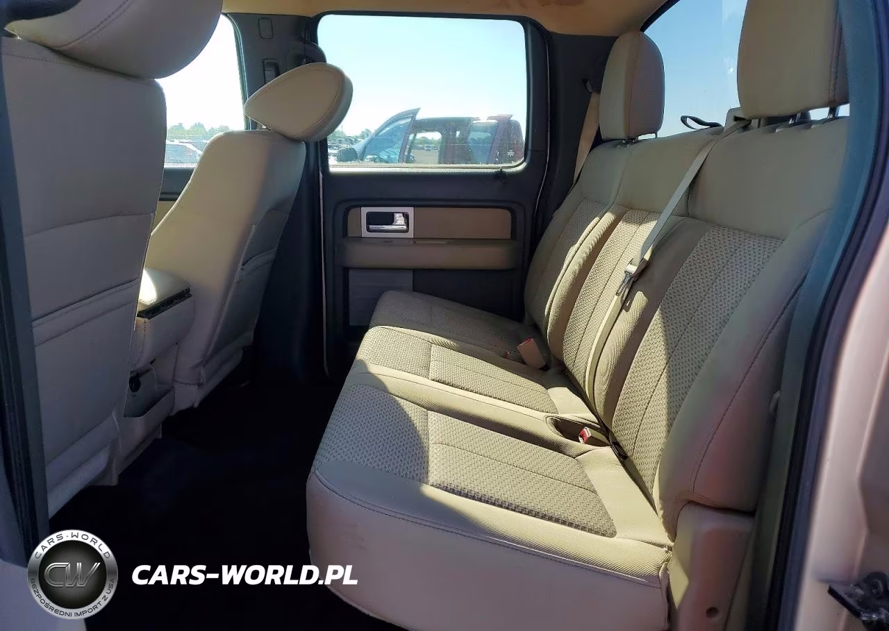2010 Ford F150 Supercrew VIN:1FTFW1EV1AFD39741 - 10