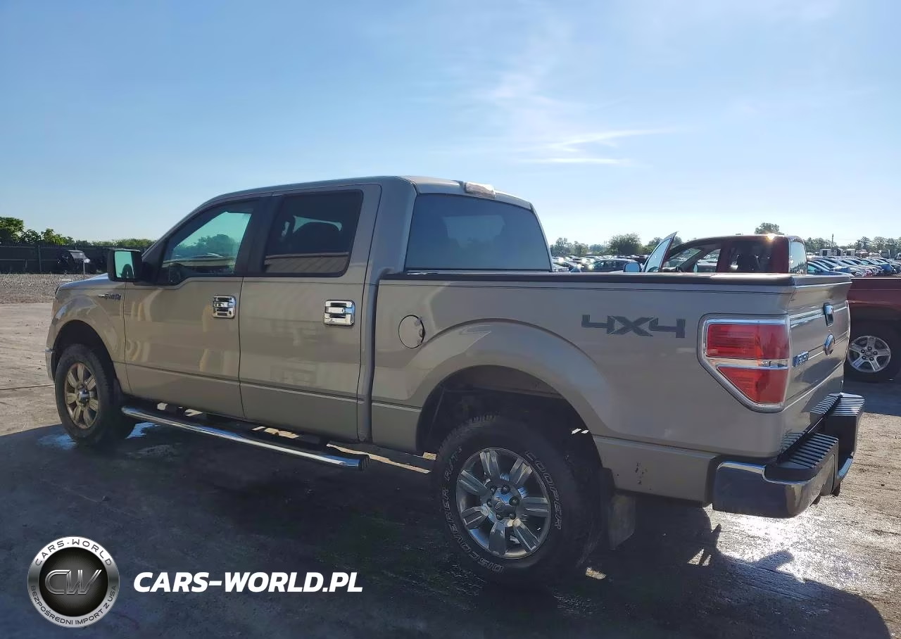 2010 Ford F150 Supercrew VIN:1FTFW1EV1AFD39741 - 2