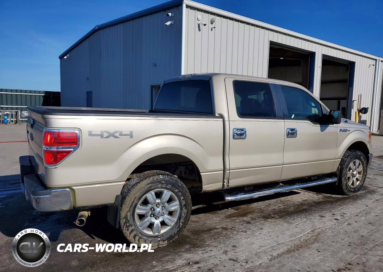 2010 Ford F150 Supercrew VIN:1FTFW1EV1AFD39741 - 3