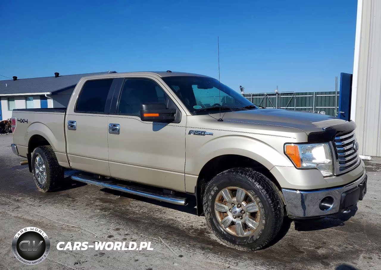 2010 Ford F150 Supercrew VIN:1FTFW1EV1AFD39741 - 4
