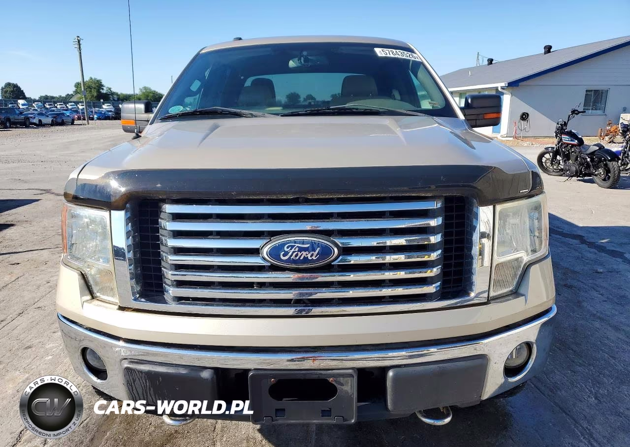 2010 Ford F150 Supercrew VIN:1FTFW1EV1AFD39741 - 5