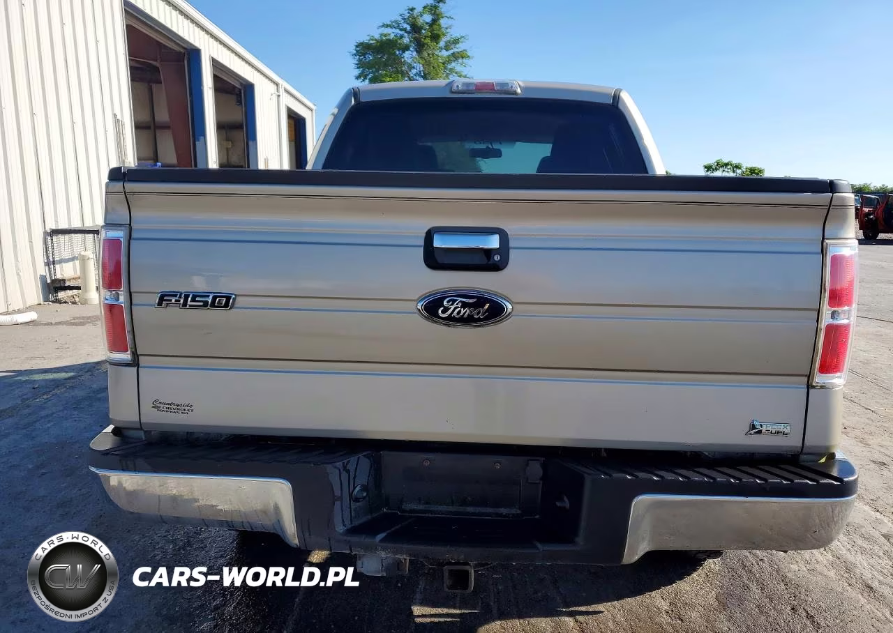 2010 Ford F150 Supercrew VIN:1FTFW1EV1AFD39741 - 6