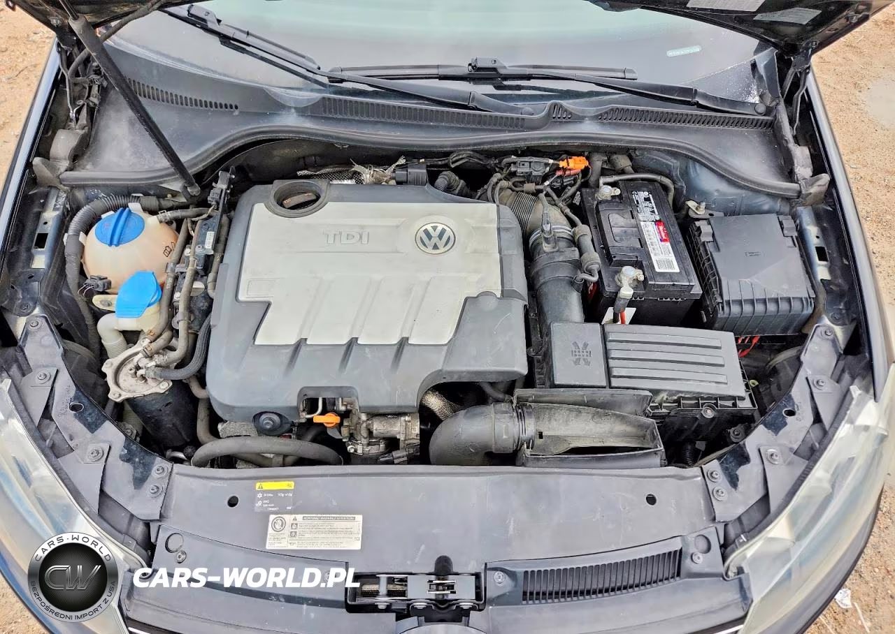 2012 Volkswagen Golf VIN:WVWBM7AJ7CW251905 - 11