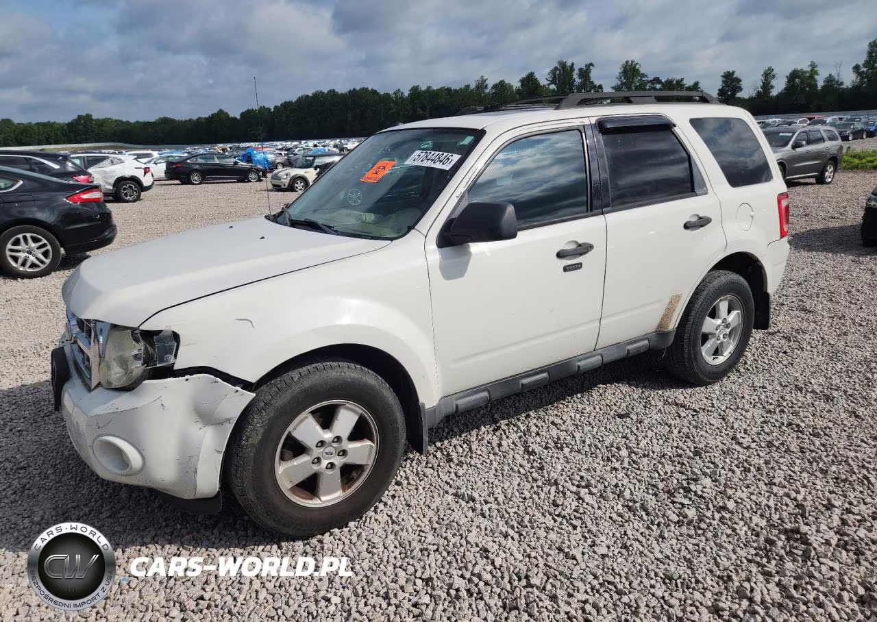 2010 Ford Escape Xlt