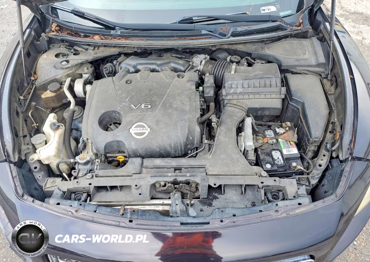 2010 Nissan Maxima 3.5 S VIN:1N4AA5AP2AC855900 - 11