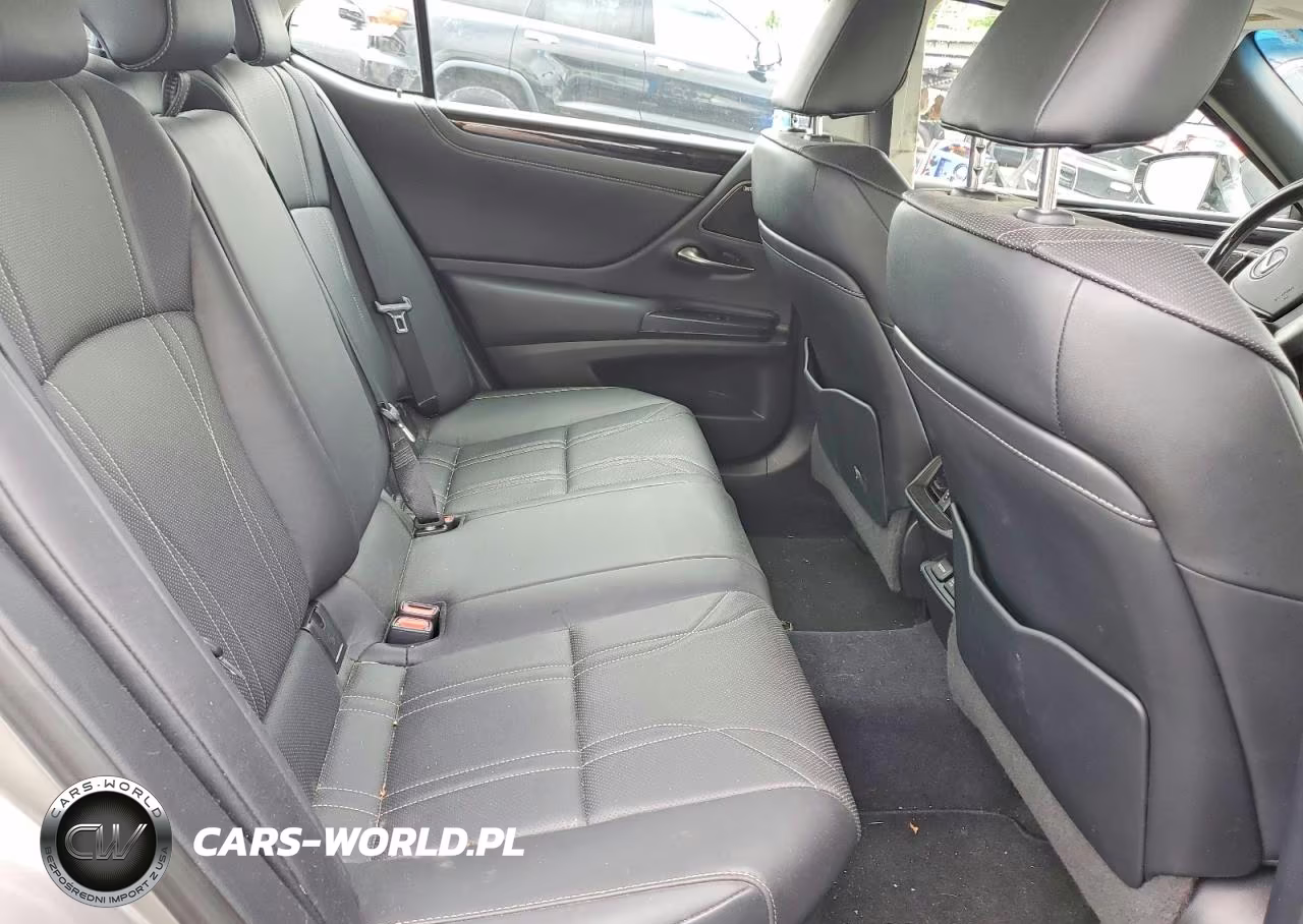 2021 Lexus Es 300H Luxury VIN:58AEA1C10MU006980 - 10