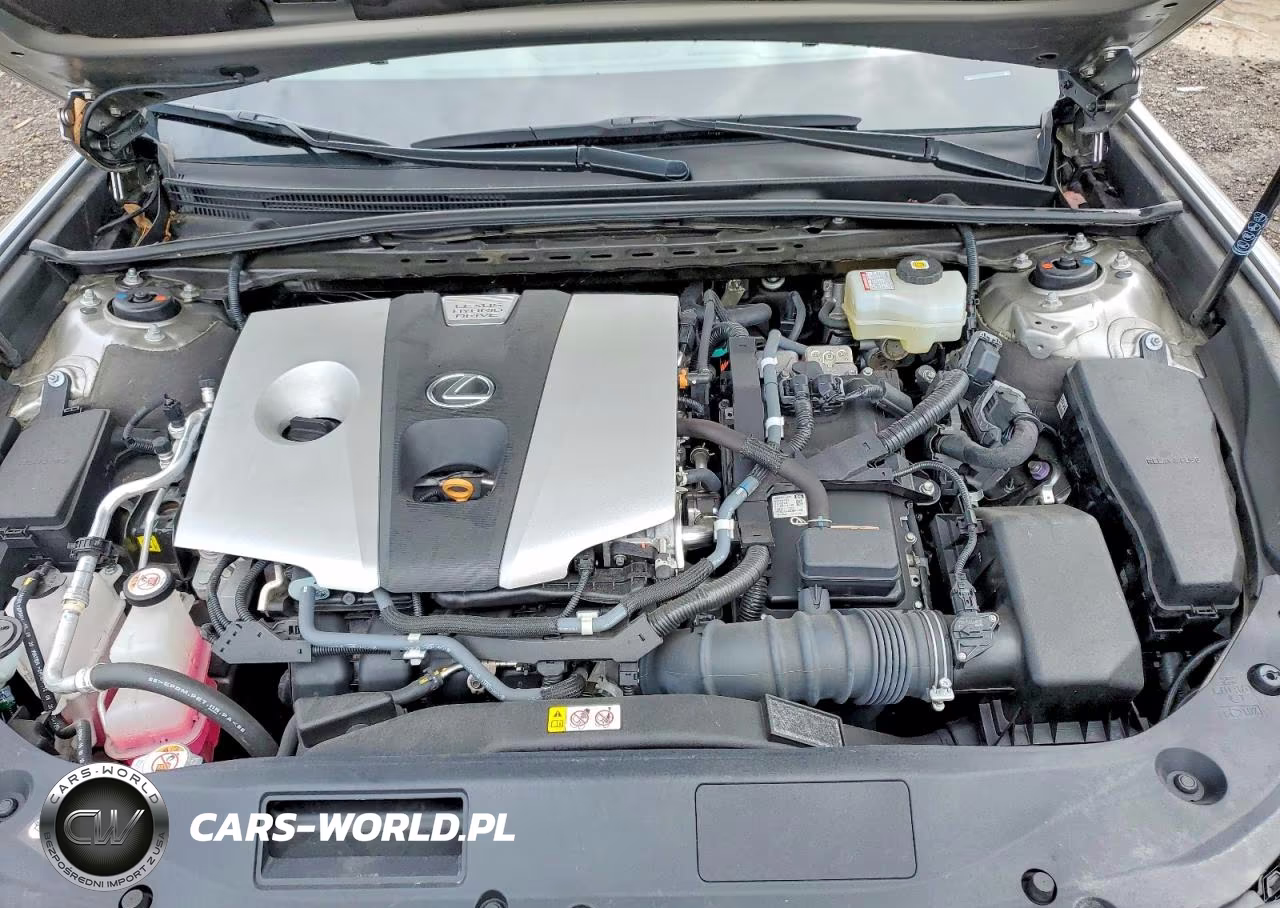2021 Lexus Es 300H Luxury VIN:58AEA1C10MU006980 - 11