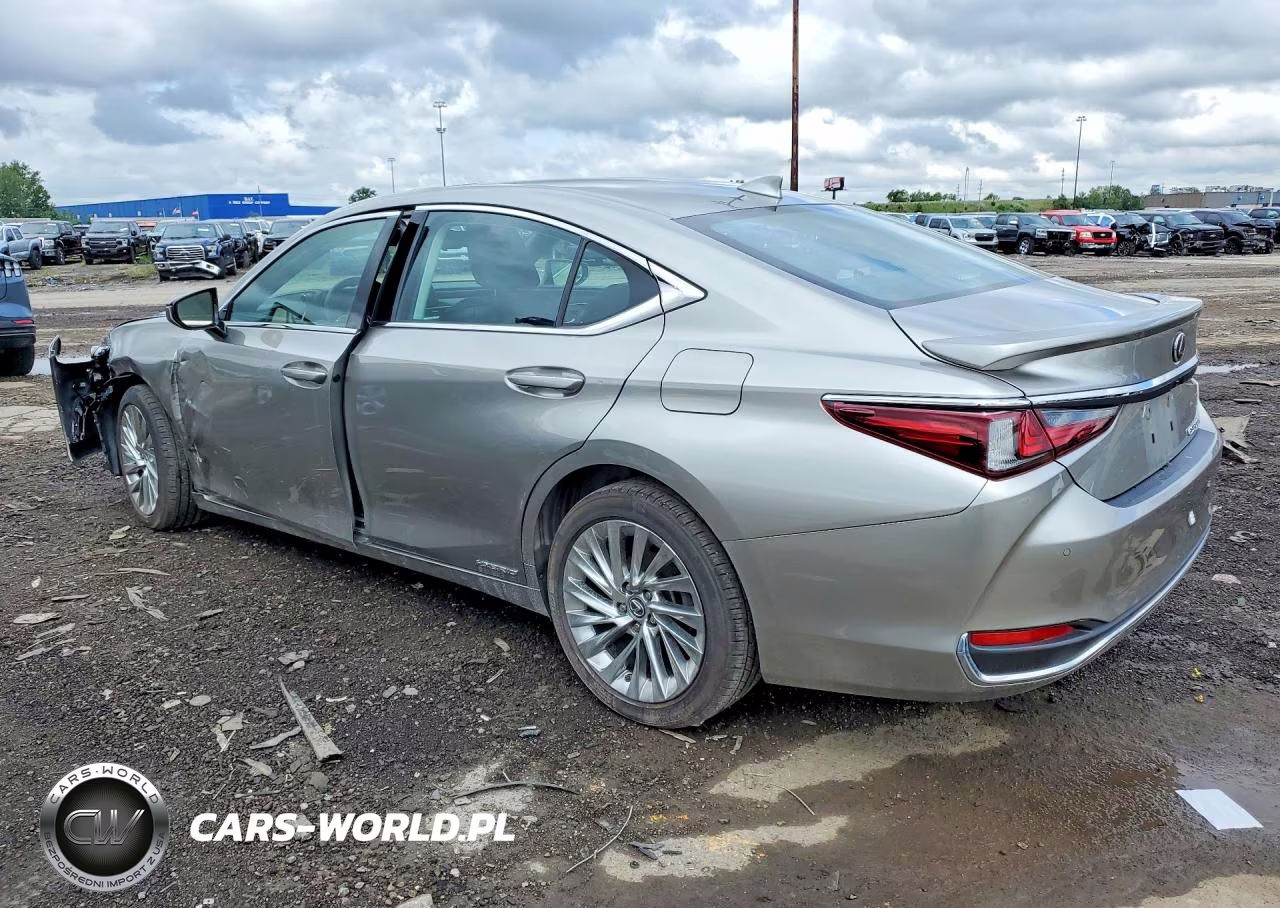 2021 Lexus Es 300H Luxury VIN:58AEA1C10MU006980 - 2