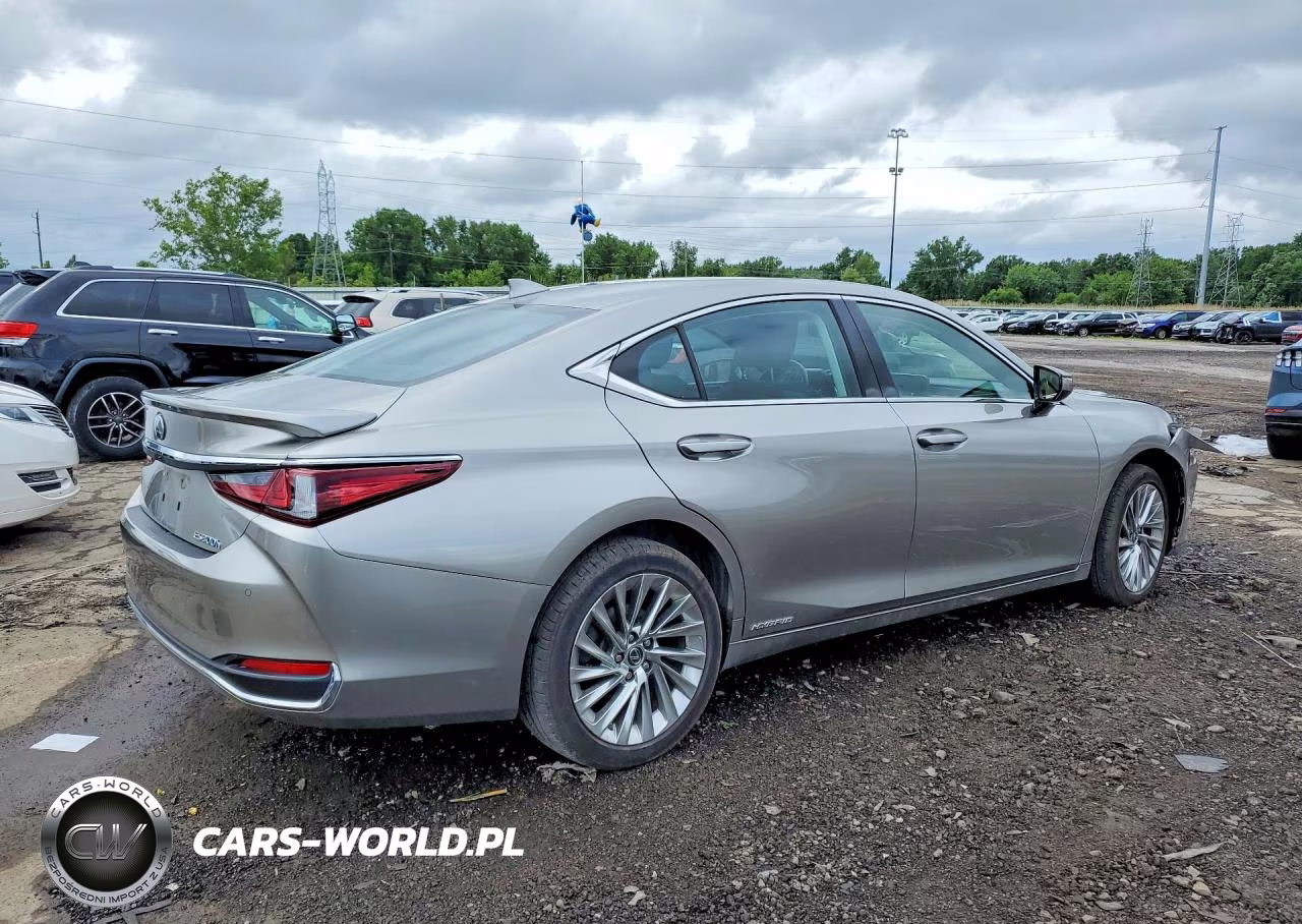 2021 Lexus Es 300H Luxury VIN:58AEA1C10MU006980 - 3