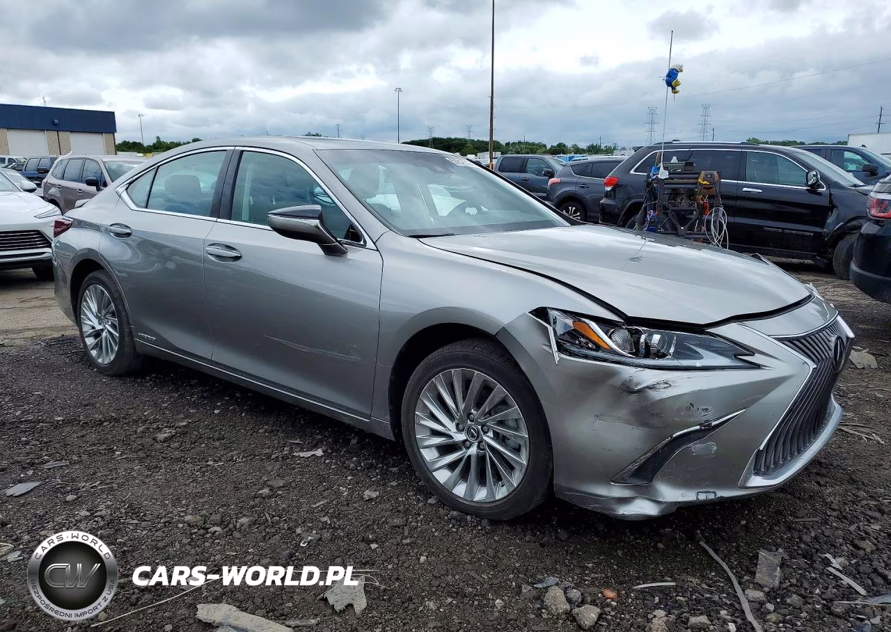 2021 Lexus Es 300H Luxury VIN:58AEA1C10MU006980 - 4