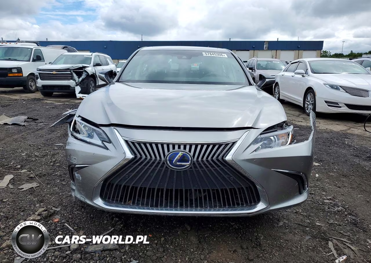2021 Lexus Es 300H Luxury VIN:58AEA1C10MU006980 - 5