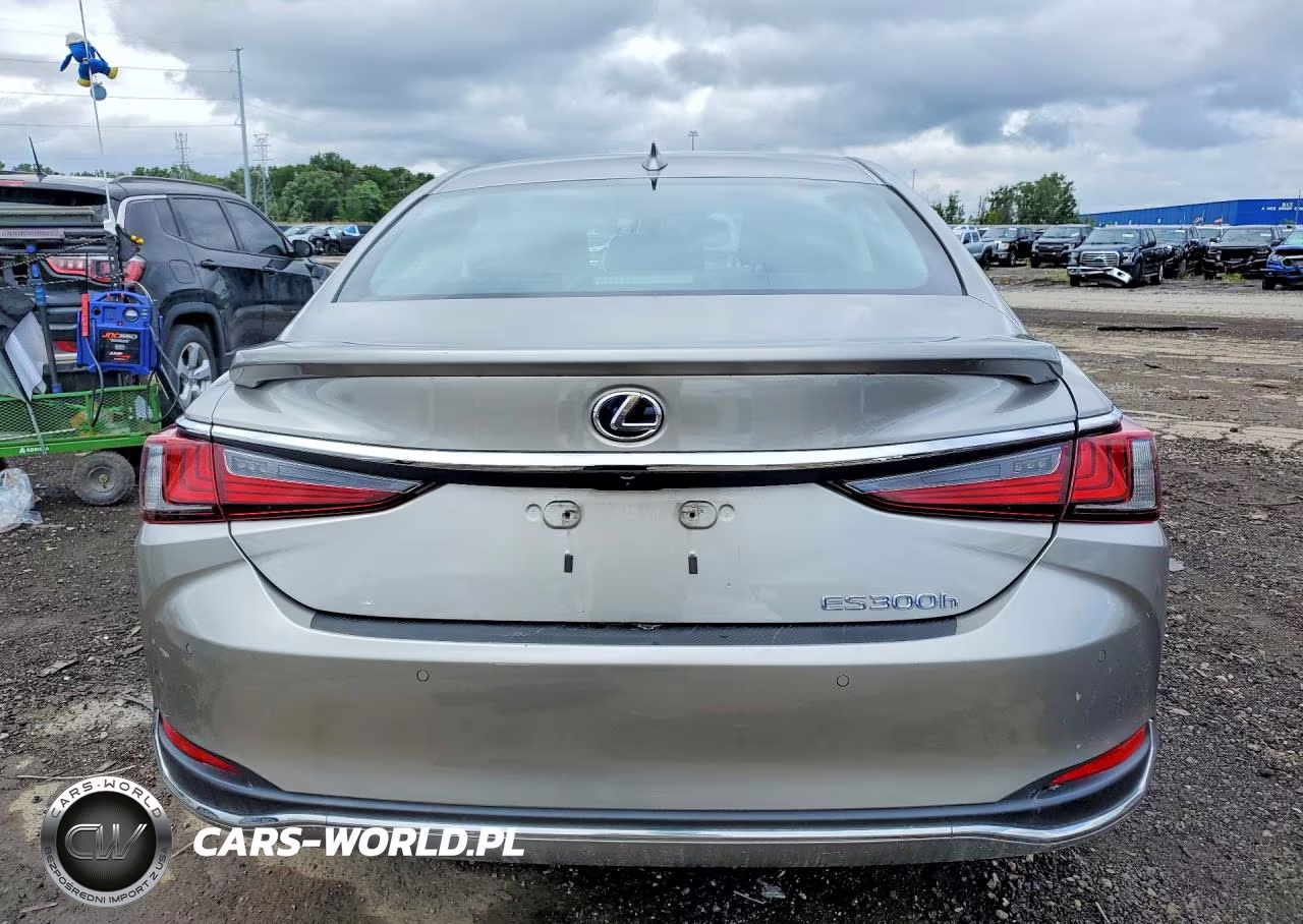 2021 Lexus Es 300H Luxury VIN:58AEA1C10MU006980 - 6