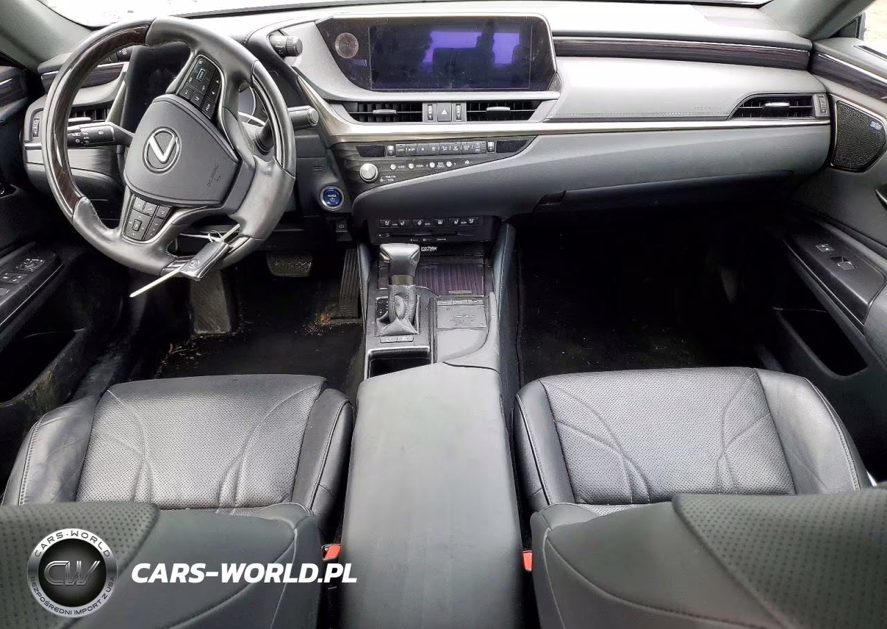 2021 Lexus Es 300H Luxury VIN:58AEA1C10MU006980 - 8
