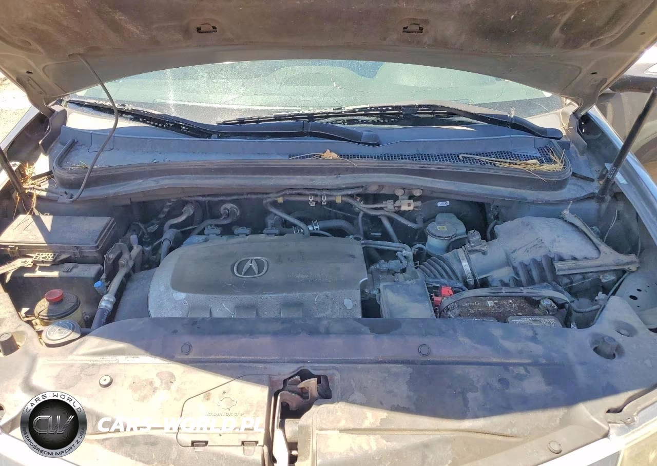 2010 Acura Mdx VIN:2HNYD2H29AH517829 - 12