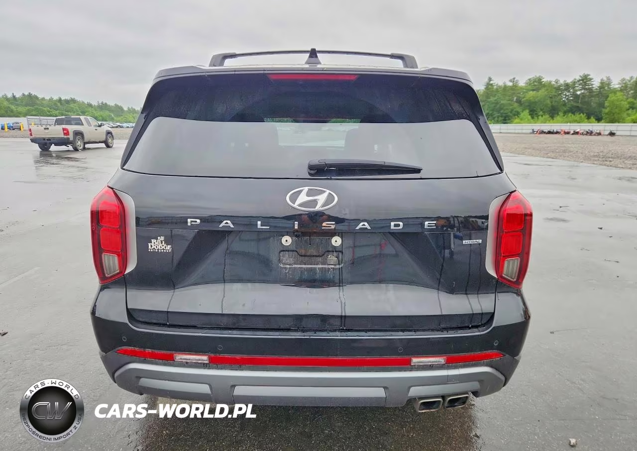 2025 Hyundai Palisade Sel Premium VIN:KM8R4DGE3SU835134 - 6