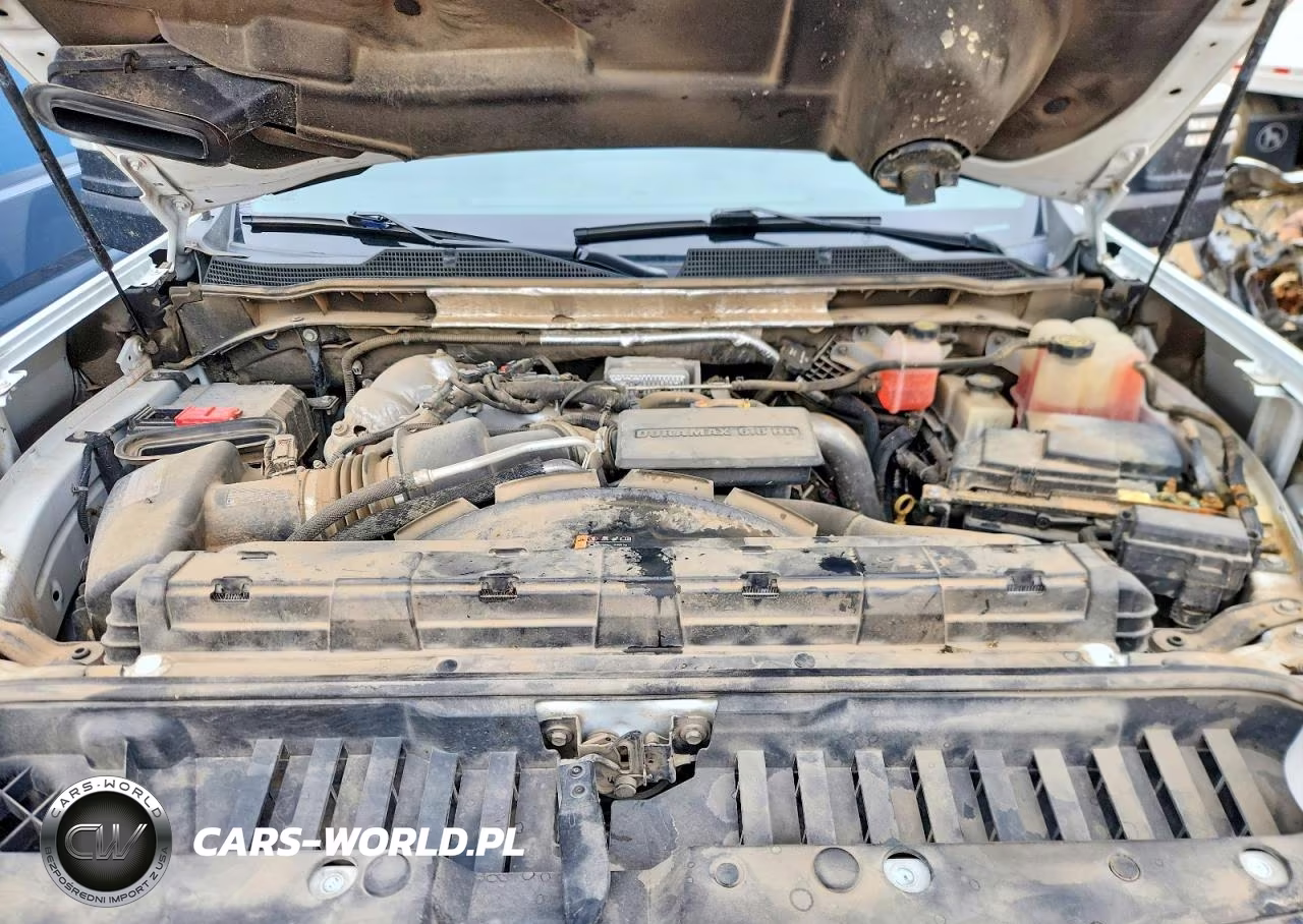 2020 Chevrolet Silverado K2500 Heavy Duty Ltz VIN:1GC1YPEY8LF301704 - 12