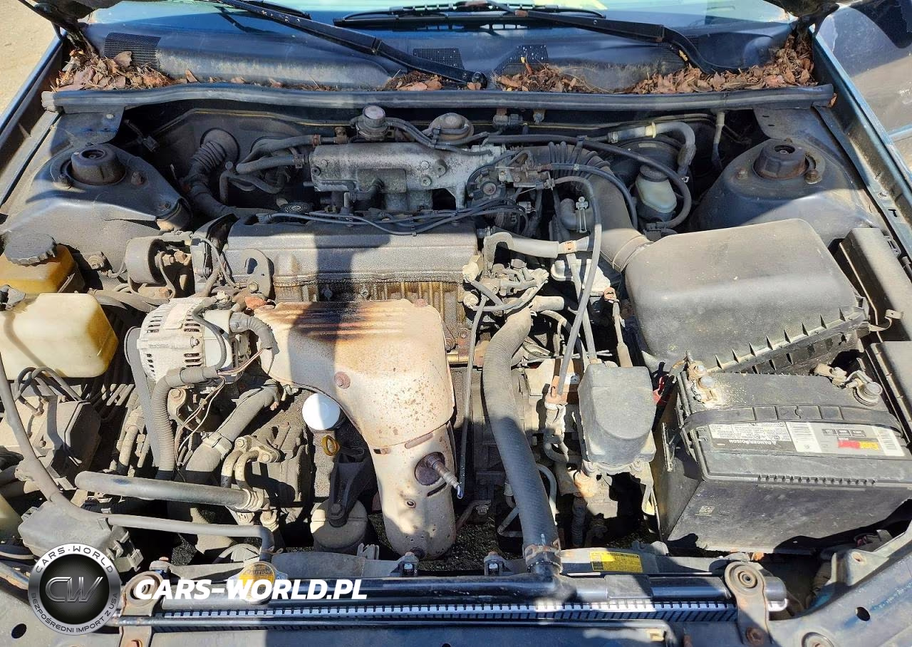 1998 Toyota Camry Le VIN:JT2BG22K5W0139508 - 11