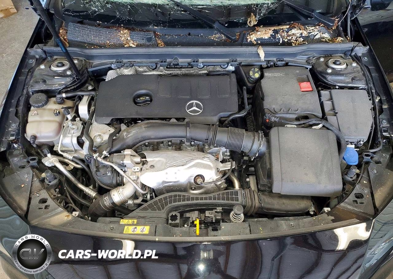 2023 Mercedes-Benz Cla 250 4Matic VIN:W1K5J4HB2PN363015 - 11