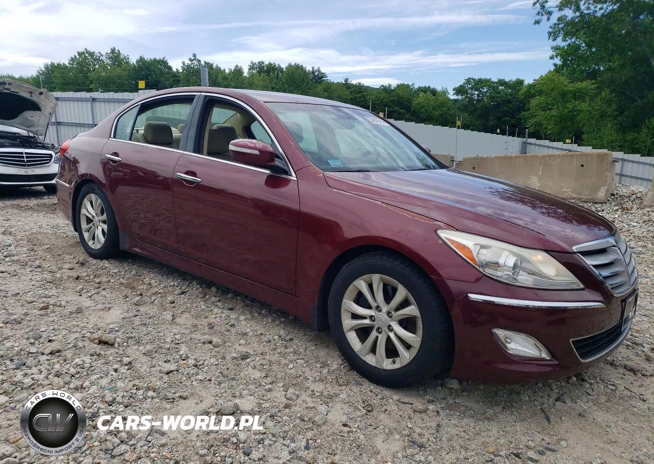 2012 Hyundai Genesis 3.8L VIN:KMHGC4DD7CU193153 - 4