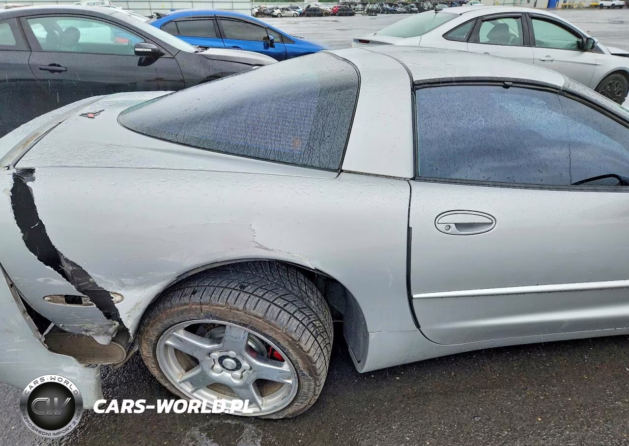 1998 Chevrolet Corvette VIN:1G1YY22G1W5119777 - 10