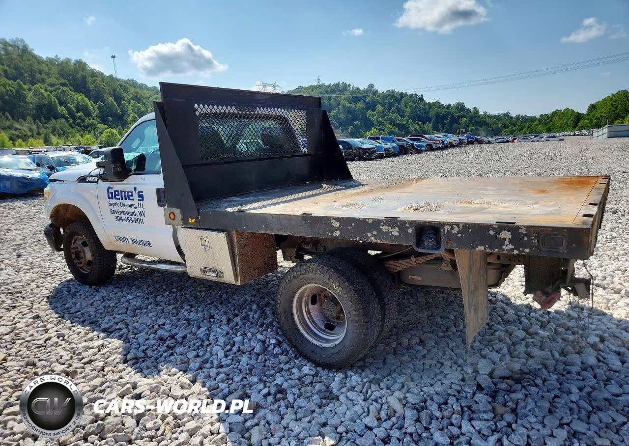 2015 Ford F350 Super Duty VIN:1FDRF3H61FEC81491 - 2