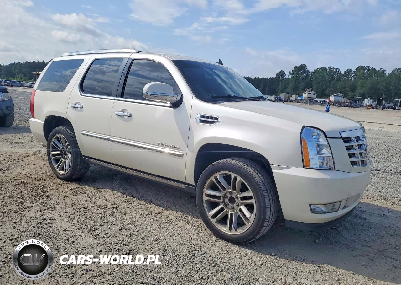 2012 Cadillac Escalade Luxury VIN:1GYS3BEF3CR321291 - 4